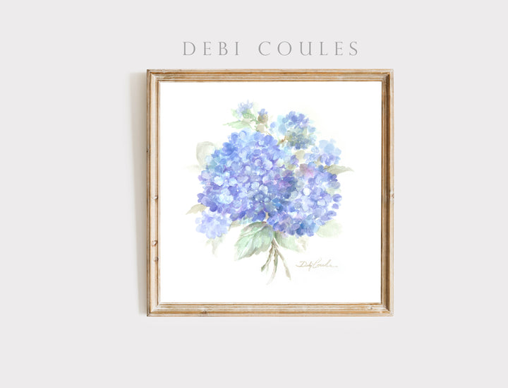 "Hydrangeas 1" Fine Art Paper Print by Debi Coules