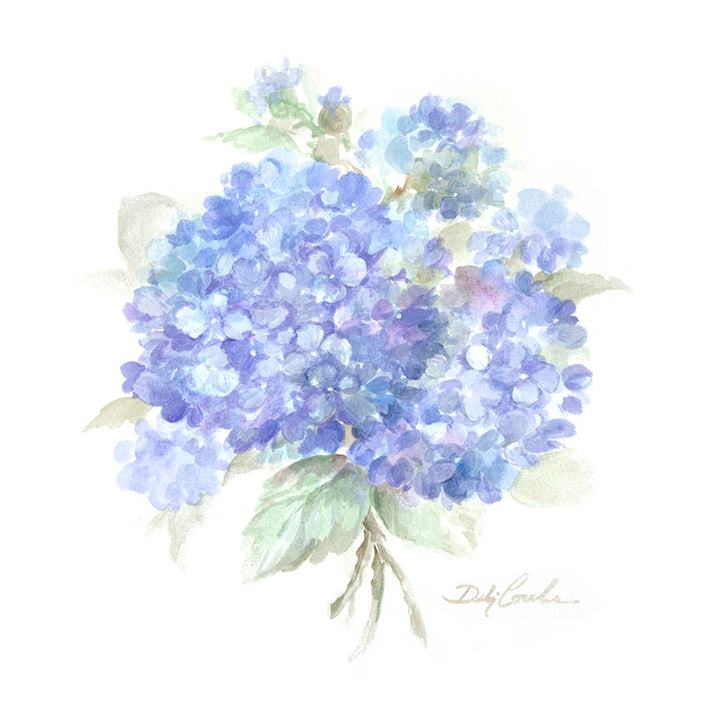 "Hydrangeas 1" Fine Art Paper Print by Debi Coules