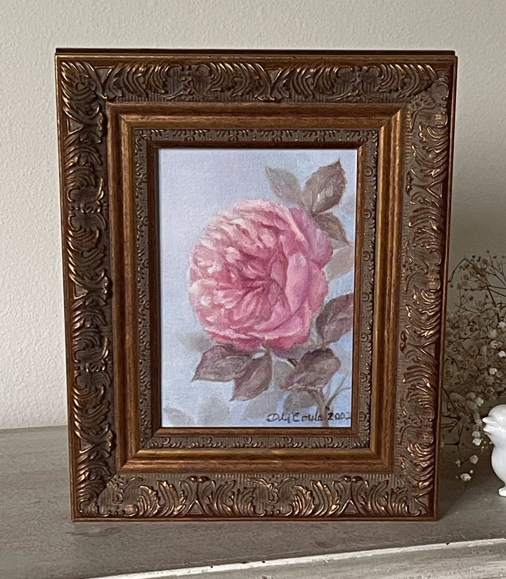 Sweet Cabbage  Rose Original Framed Painting by Debi Coules