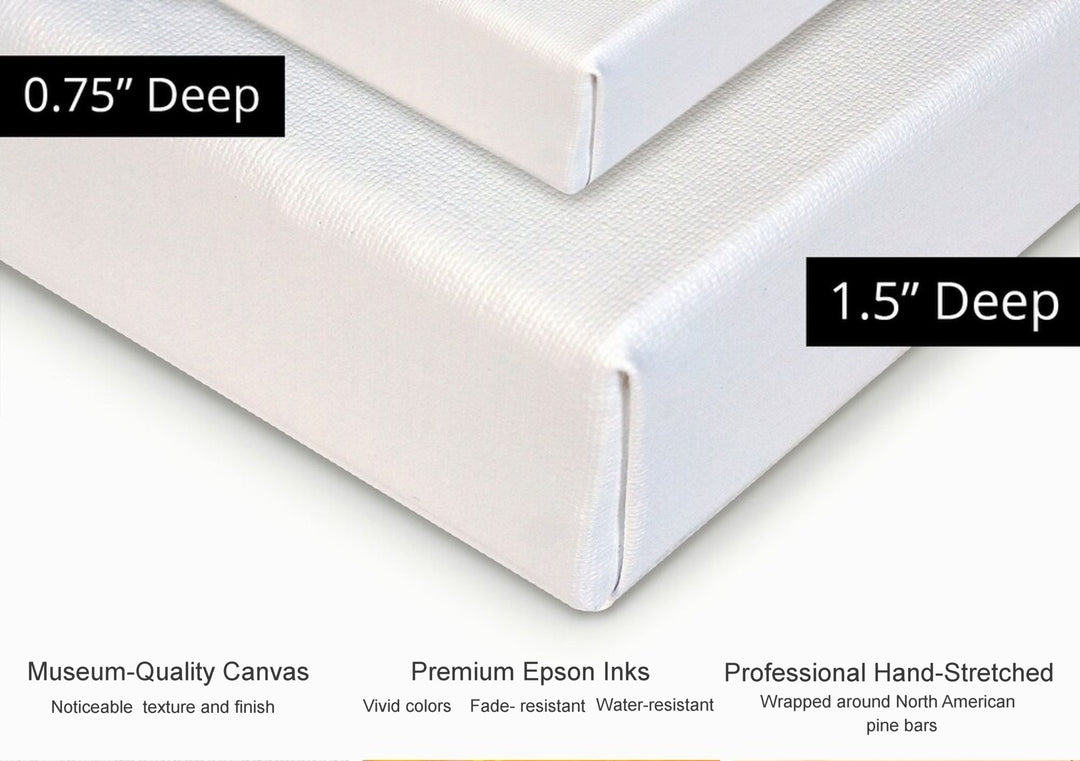 Ballet Dreamer Original Canvas Giclée Print by Debi Coules