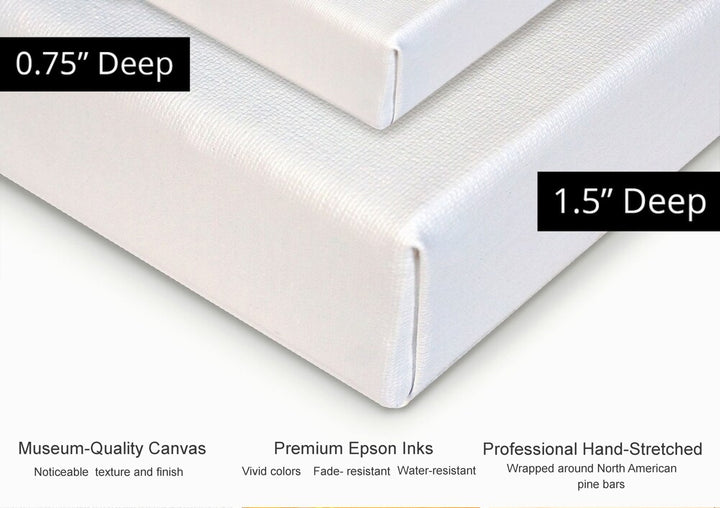 Ballet Dreamer Original Canvas Giclée Print by Debi Coules