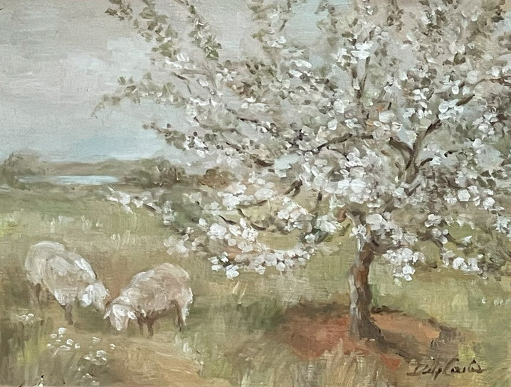 "Where the Sheep Wander" – Original Oil Painting by Debi Coules