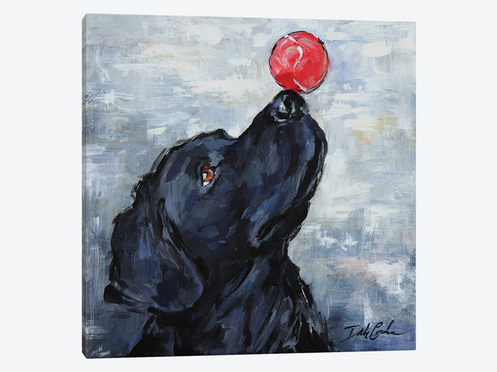 "Hocus Focus" Canvas Print