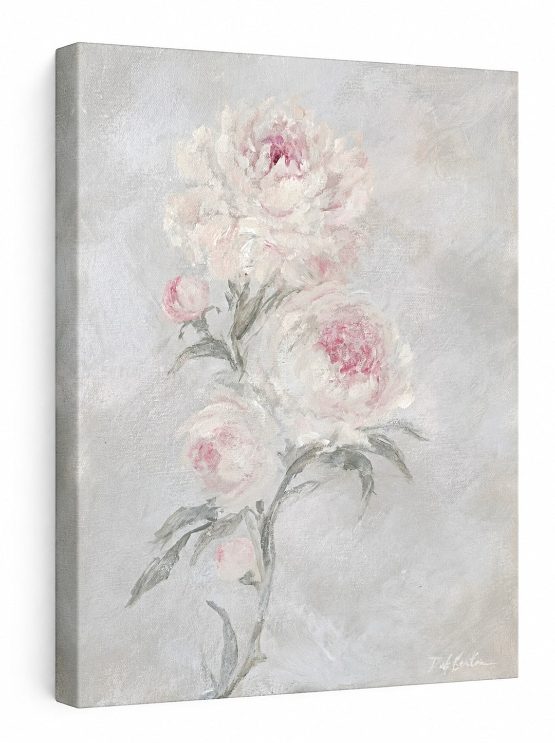 Fading into Light – Soft Pink Peony Floral Art Print | Romantic Cottagecore Wall Art | Canvas or Paper Print