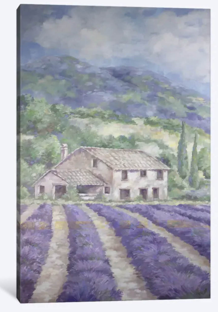 "French Lavender Fields" Canvas Print