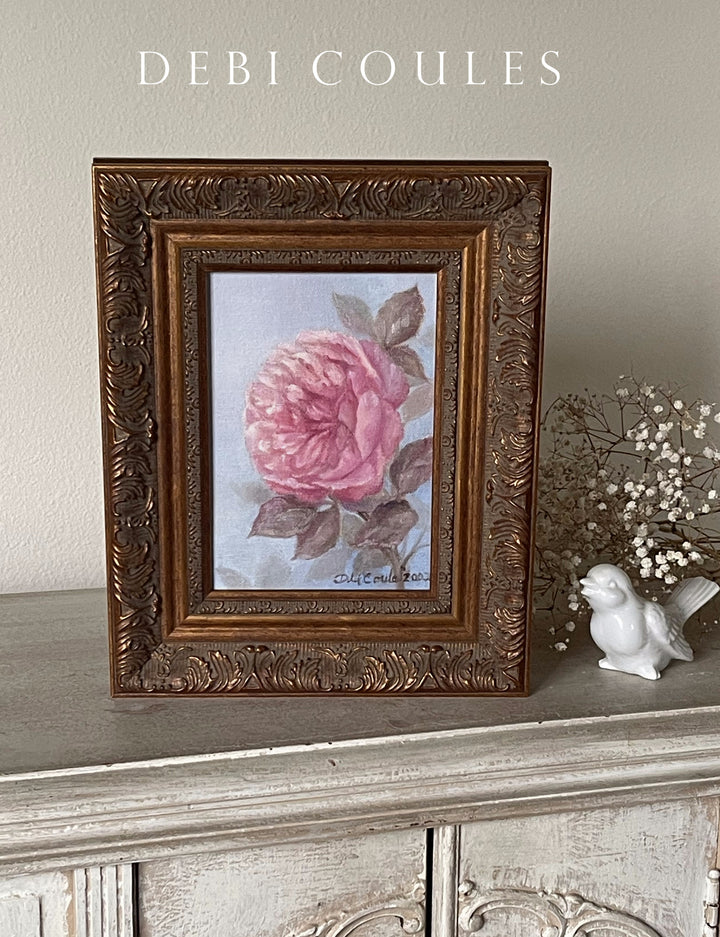 Sweet Cabbage  Rose Original Framed Painting by Debi Coules