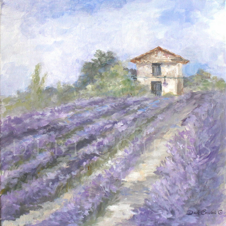 "Lavender Fields" Canvas Print
