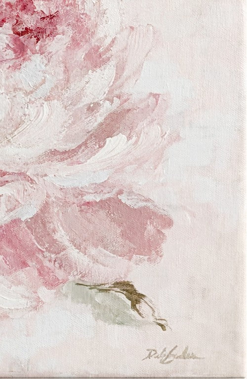 Closeup of pink peonie flower