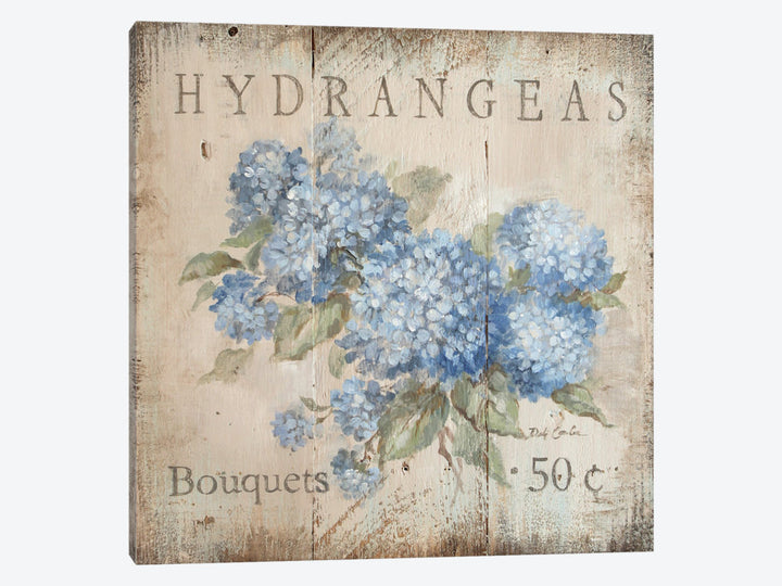 "Hydrangeas 50 Cents" Canvas Print