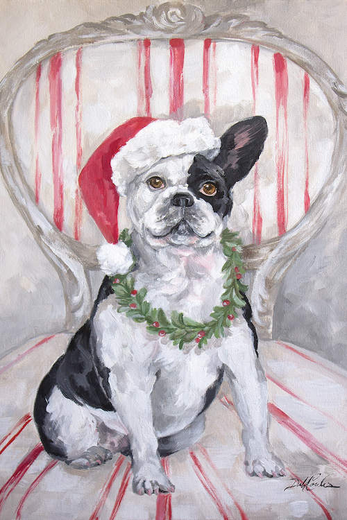 Frenchie is a black and white French Bulldog. He is adorned with a Santa's hat and sitting on a red and white stripe chair. Around his neck is a wreath of holly with red blooms